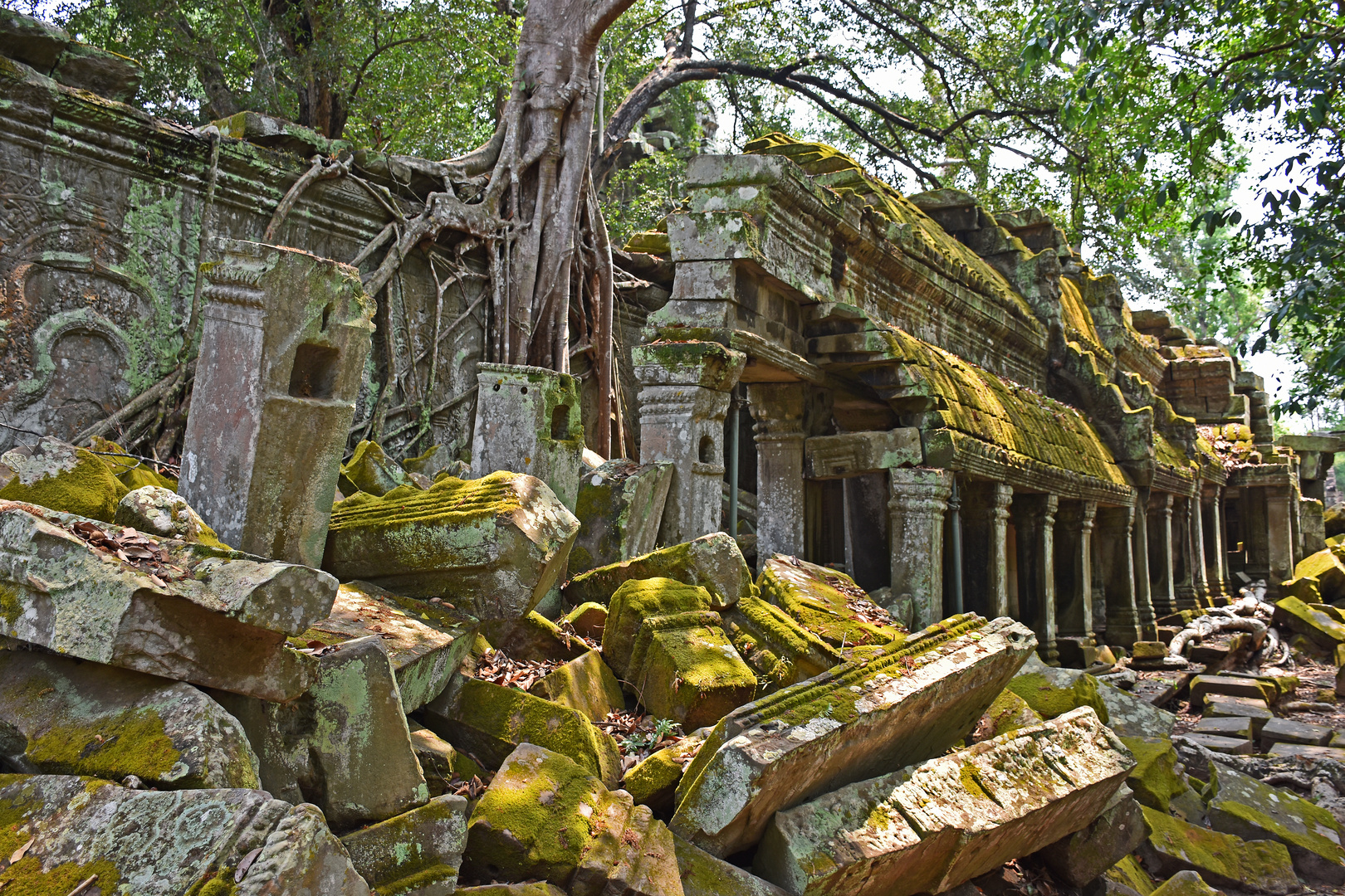 Ta Prohm