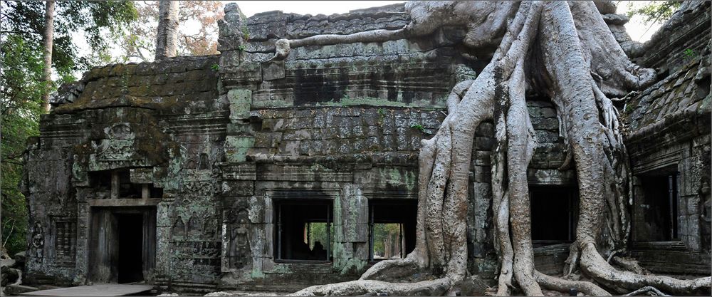 Ta Prohm Foto & Bild asia, cambodia, southeast asia Bilder auf