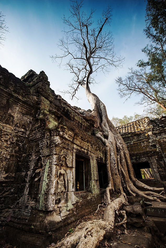 Ta Prohm