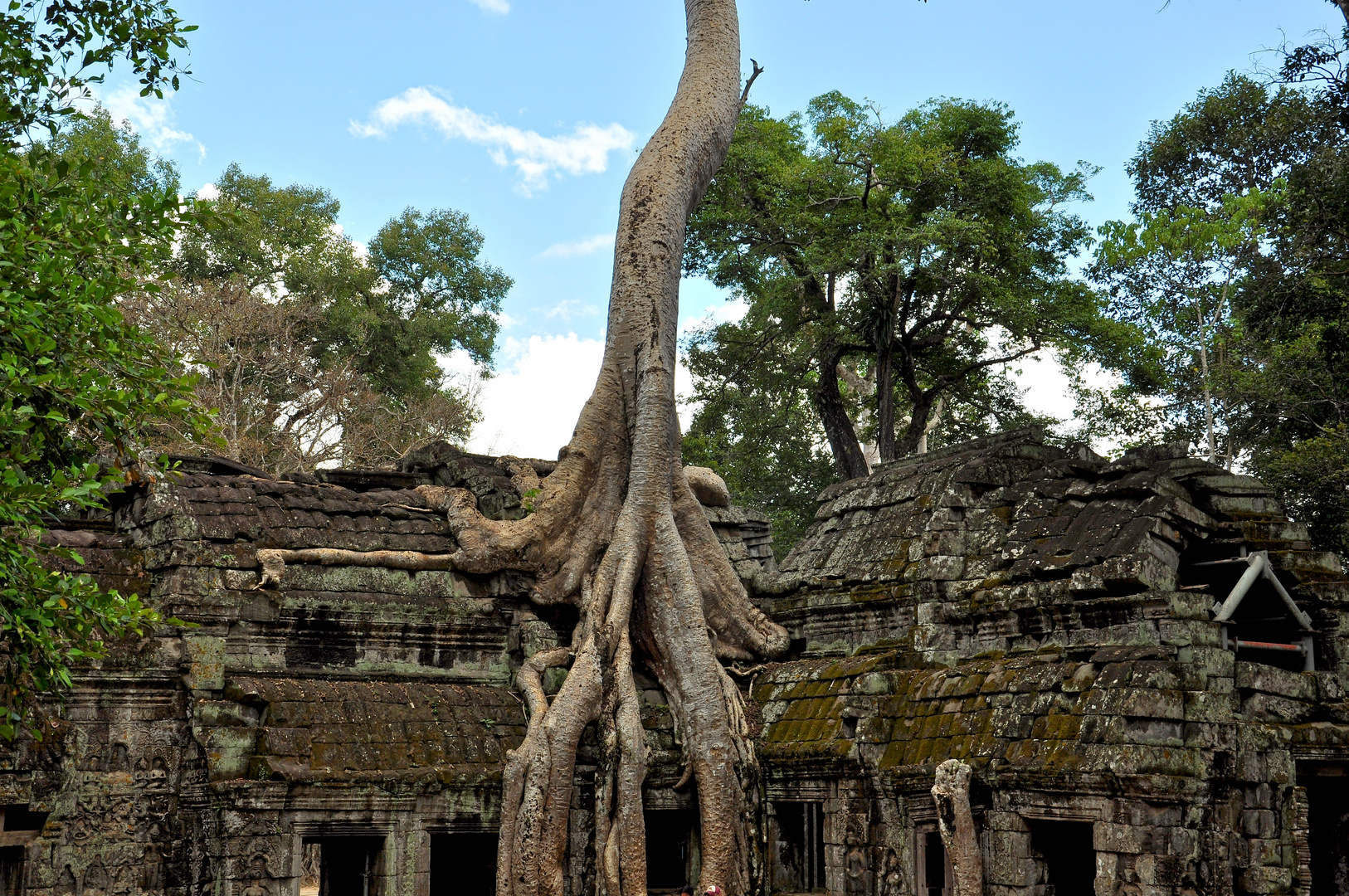 Ta Prohm