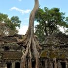 Ta Prohm