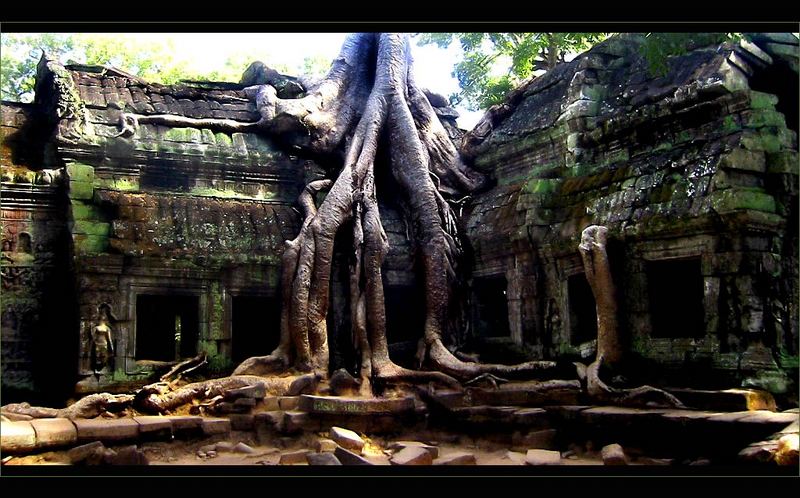 Ta Prohm