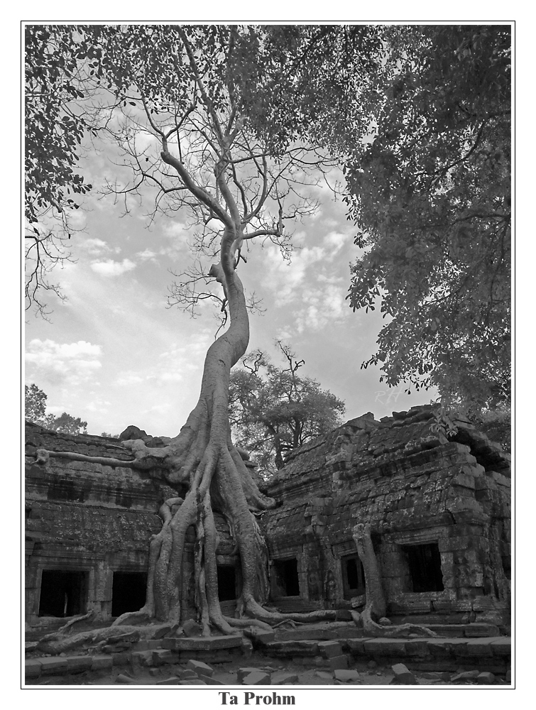 Ta Prohm