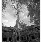 Ta Prohm