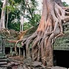 Ta Prohm