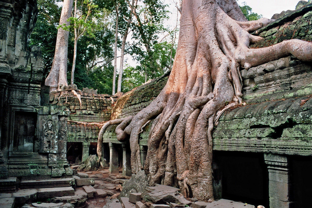 Ta Prohm