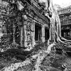 Ta Prohm