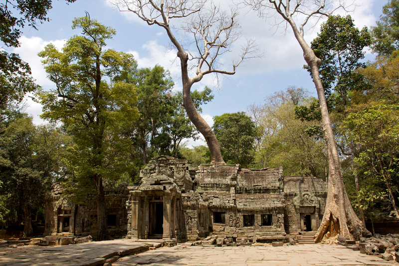 Ta Prohm