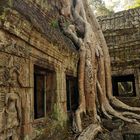 Ta Prohm