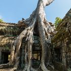 Ta Prohm