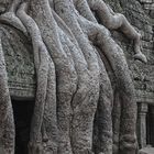 Ta Prohm – der Dschungel-Tempel