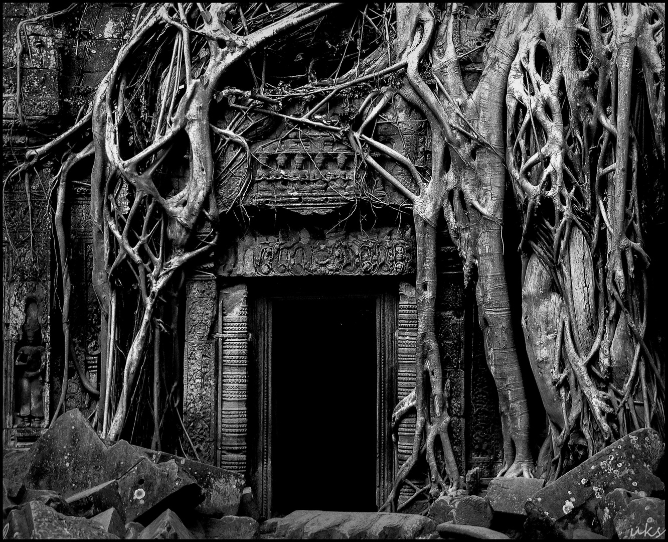 Ta Prohm, der Klassiker in s/w