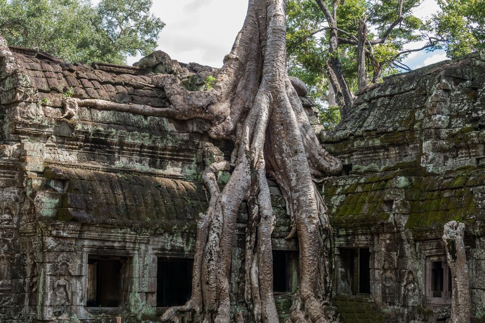 ...Ta Prohm - der Urwaldtempel...