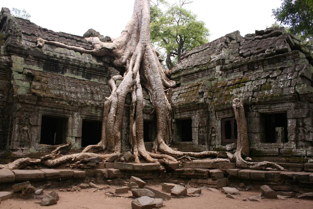 Ta Prohm - der Urwaldtempel