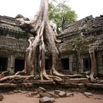 Ta Prohm - der Urwaldtempel