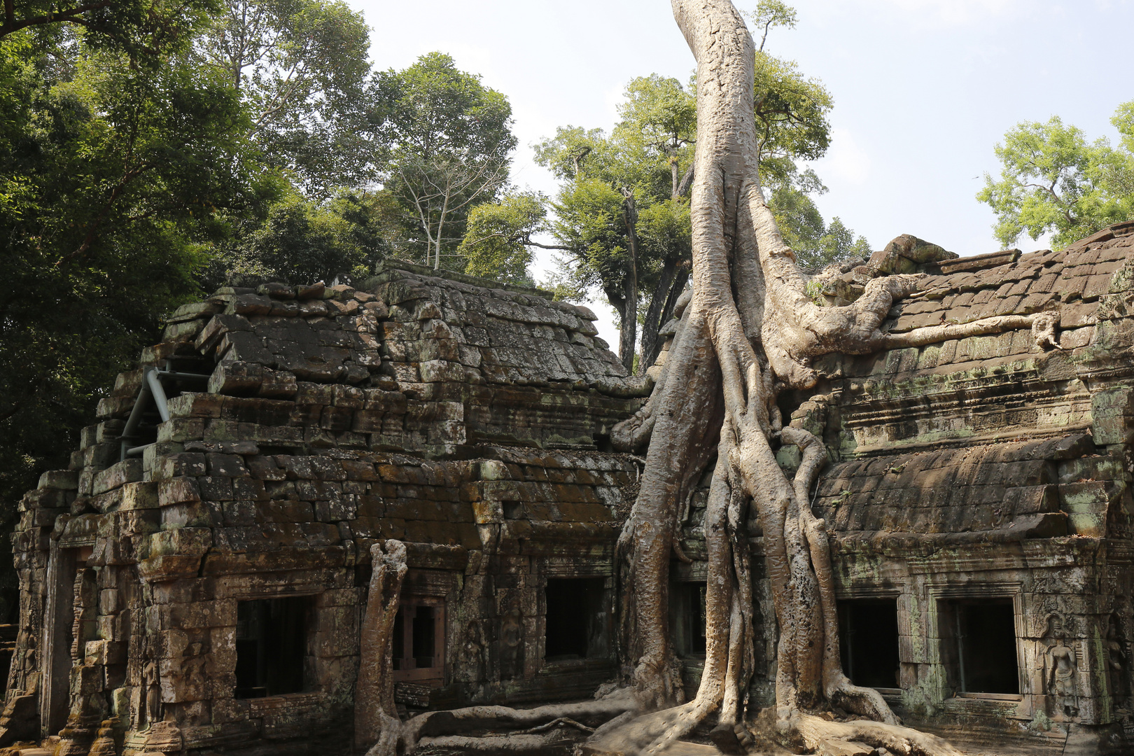 Ta Prohm