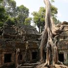 Ta Prohm