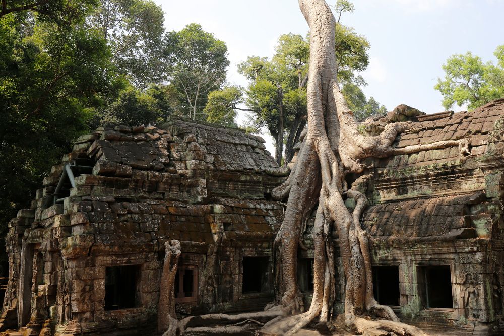 Ta Prohm