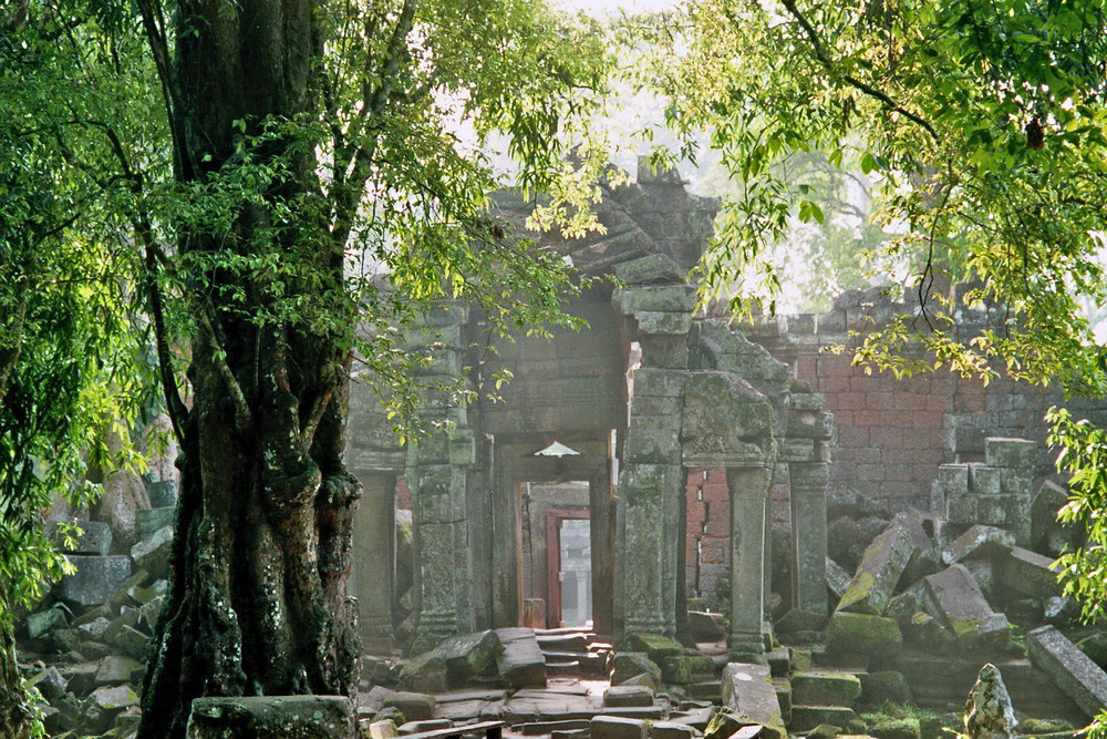 Ta Prohm ...ein letzter Blick zurück...