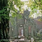 Ta Prohm ...ein letzter Blick zurück...