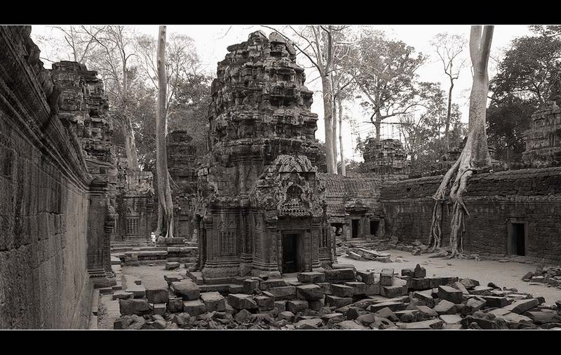 ta prohm - einmal mehr...