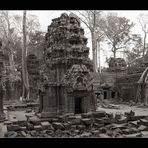 ta prohm - einmal mehr...