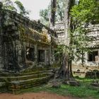 ...Ta Prohm - einstiger Glanz eines religösen Zentrums...