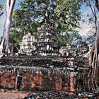 Ta Prohm et ses figuiers "arracheurs"