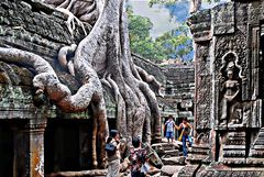 Ta Prohm étranglé par les racines