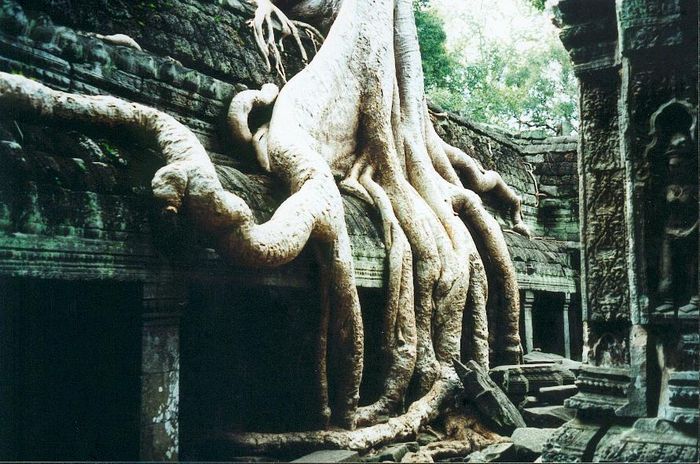 Ta Prohm