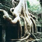 Ta Prohm