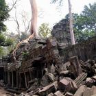 Ta Prohm II