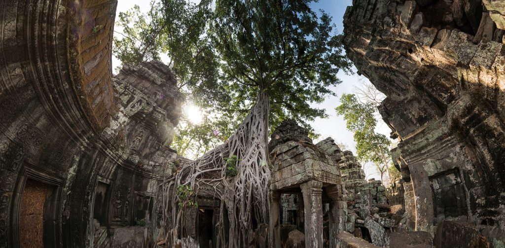 Ta Prohm III