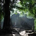 Ta Prohm im Gegenlicht