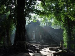 Ta Prohm im Gegenlicht