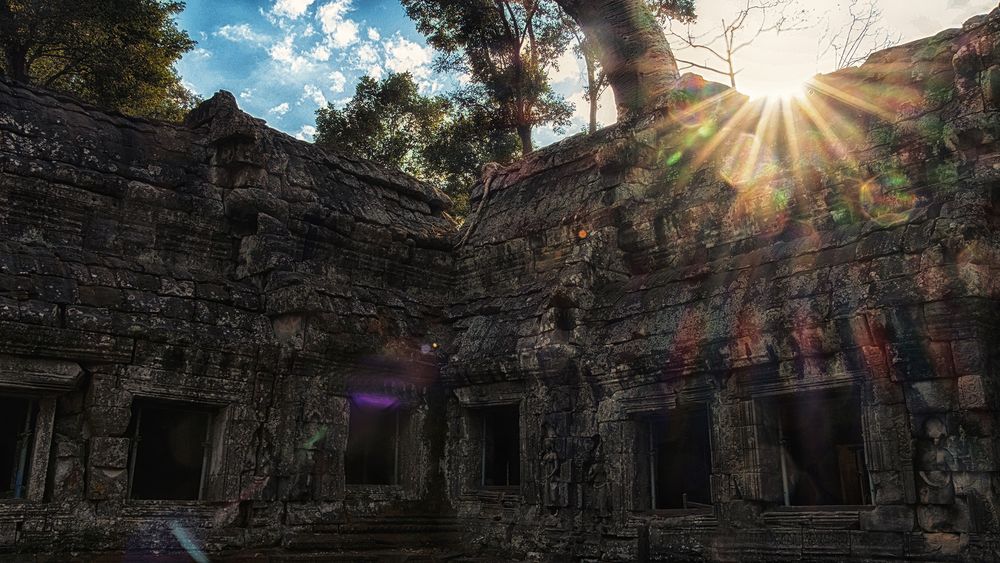 Ta Prohm im Gegenlicht