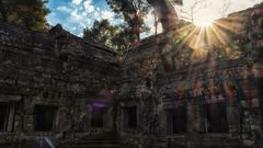 Ta Prohm im Gegenlicht