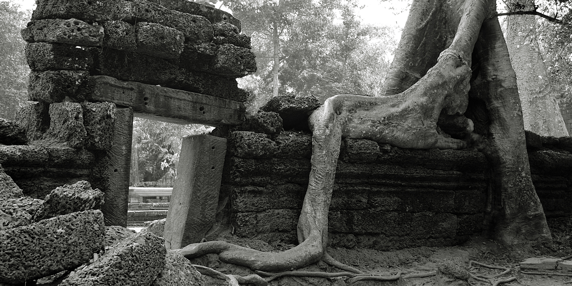 Ta Prohm, Kambodscha