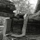 Ta Prohm, Kambodscha