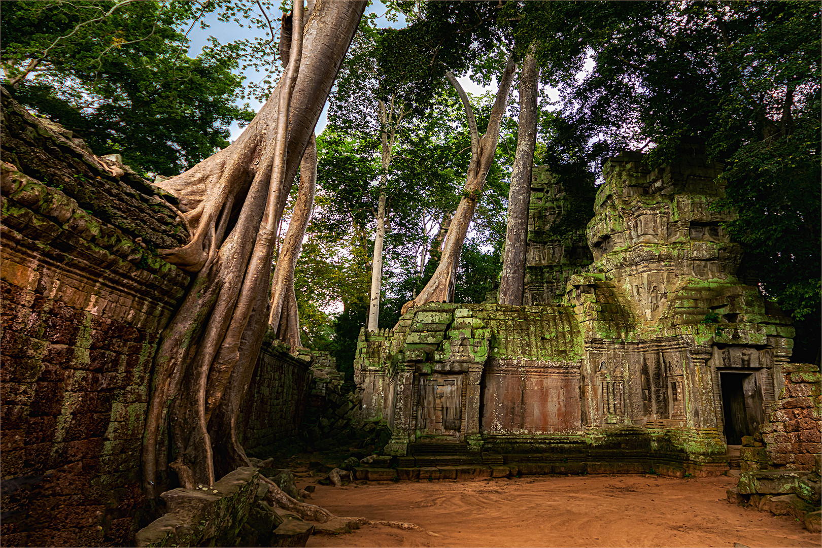 Ta Prohm / Kambodscha 