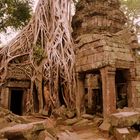 Ta Prohm Ruins