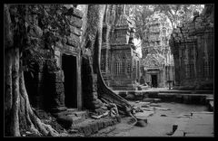 Ta Prohm (s/w)