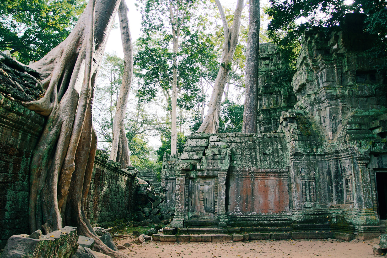 Ta Prohm Tempel