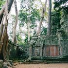 Ta Prohm Tempel