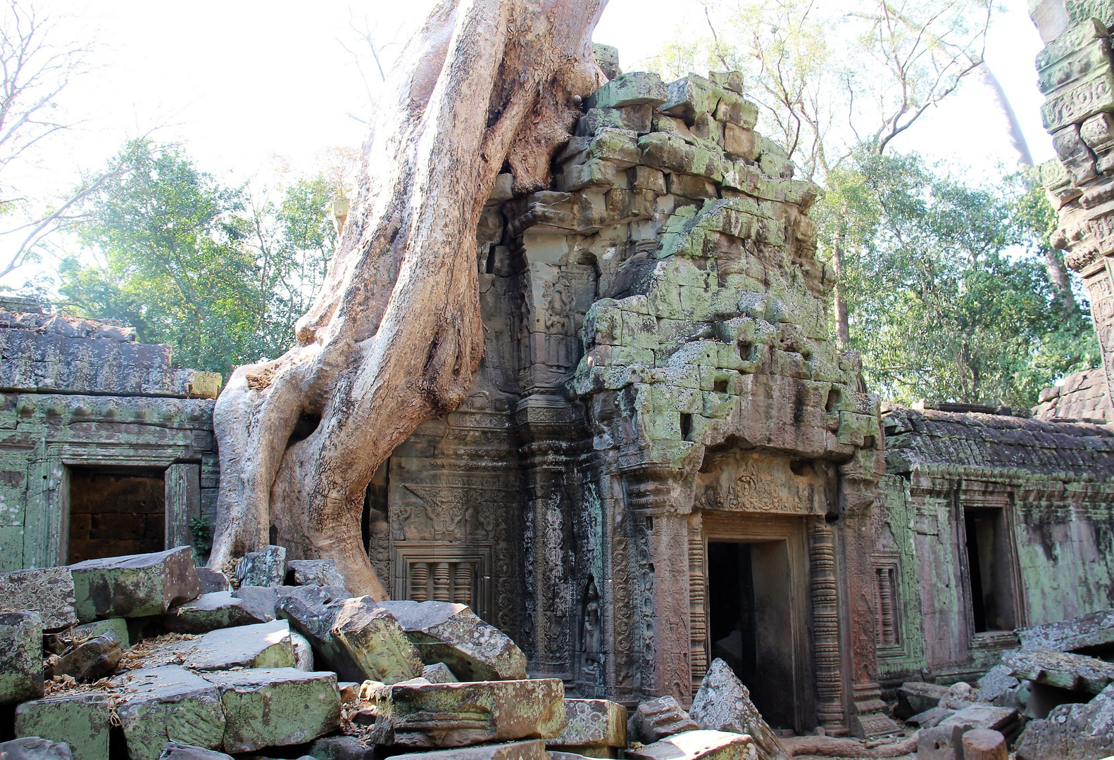 Ta Prohm Tempel