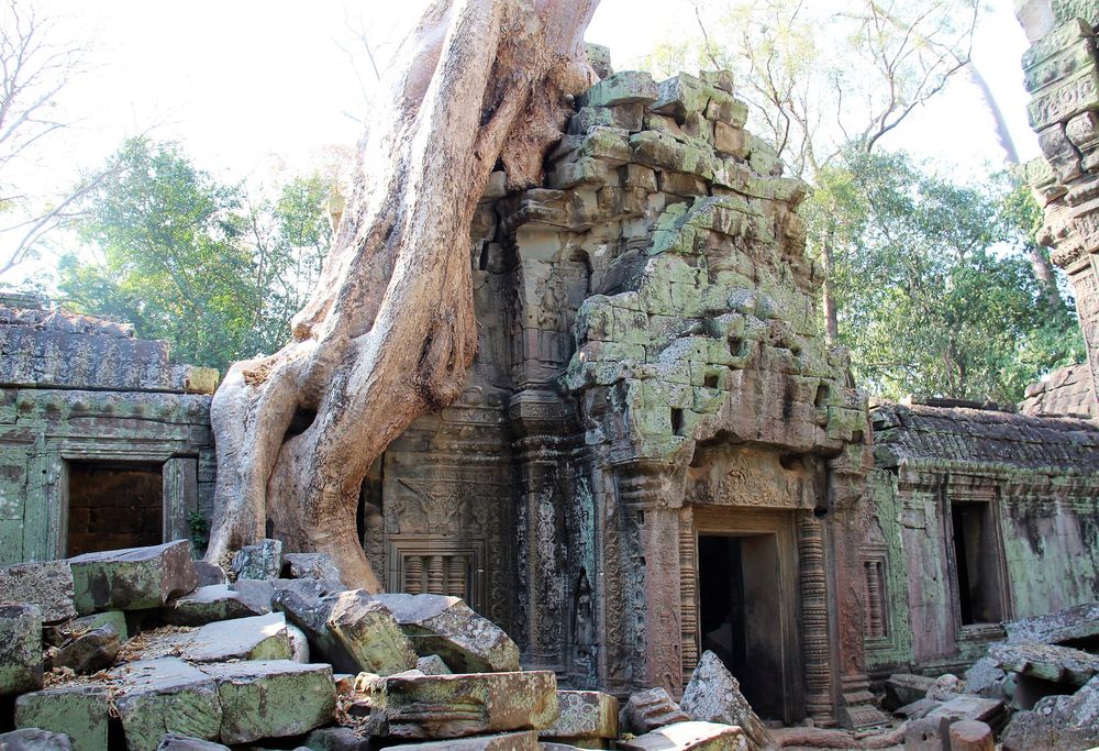 Ta Prohm Tempel