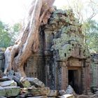 Ta Prohm Tempel