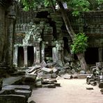 Ta Prohm Tempel, Angkor