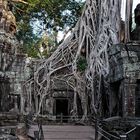 Ta Prohm Tempel