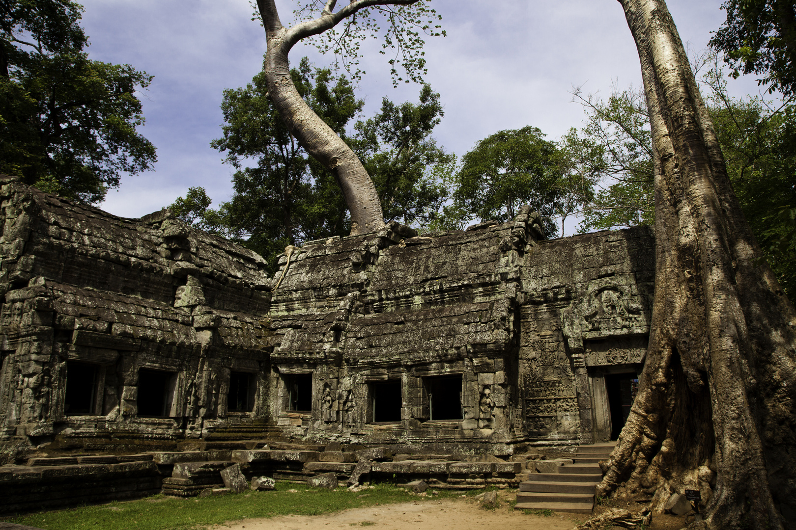 Ta Prohm Tempel